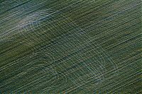 bird's-eye view aerial landscape photography