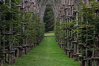 World & Travel: Cattedrale Vegetale by Giuliano Mauri