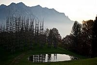 World & Travel: Cattedrale Vegetale by Giuliano Mauri