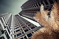 TopRq.com search results: Infrared photography, Hong Kong, China