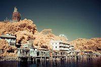 TopRq.com search results: Infrared photography, Hong Kong, China