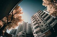 TopRq.com search results: Infrared photography, Hong Kong, China