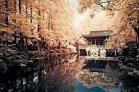 TopRq.com search results: Infrared photography, Hong Kong, China