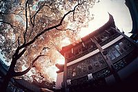 TopRq.com search results: Infrared photography, Hong Kong, China