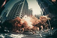 TopRq.com search results: Infrared photography, Hong Kong, China