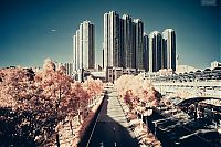 TopRq.com search results: Infrared photography, Hong Kong, China