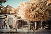 TopRq.com search results: Infrared photography, Hong Kong, China