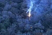 TopRq.com search results: The Senator tree destroyed by fire and collapsed, Big Tree Park, Longwood, Florida, United States