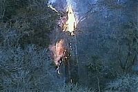 TopRq.com search results: The Senator tree destroyed by fire and collapsed, Big Tree Park, Longwood, Florida, United States