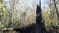 TopRq.com search results: The Senator tree destroyed by fire and collapsed, Big Tree Park, Longwood, Florida, United States