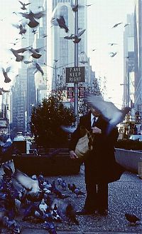 World & Travel: History: New York City, 1980s, United States