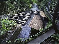 World & Travel: Villa Escudero Plantations, Labasin waterfalls, San Pablo, Laguna & Quezon province, Philippines