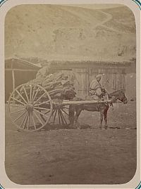 TopRq.com search results: History: Central Asia, 140 years ago