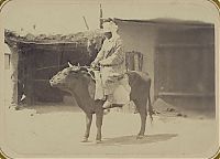 TopRq.com search results: History: Central Asia, 140 years ago