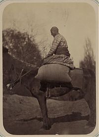 TopRq.com search results: History: Central Asia, 140 years ago