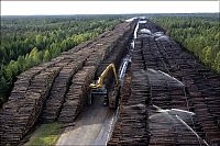TopRq.com search results: Timber in storage after Gudrun cyclone, Byholma, Sweden