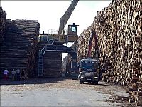 TopRq.com search results: Timber in storage after Gudrun cyclone, Byholma, Sweden