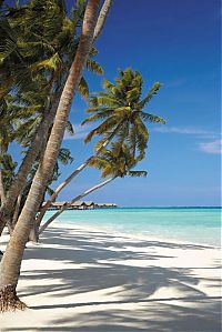 World & Travel: Shangri-La's Villingili Resort & Spa, Maldives