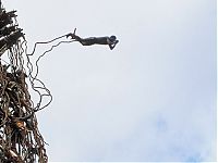 TopRq.com search results: Land diving ritual, Pentecost Island, Vanuatu