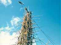 World & Travel: Land diving ritual, Pentecost Island, Vanuatu