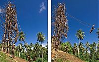 TopRq.com search results: Land diving ritual, Pentecost Island, Vanuatu