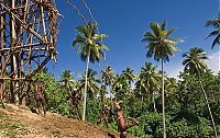 TopRq.com search results: Land diving ritual, Pentecost Island, Vanuatu