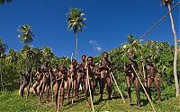 TopRq.com search results: Land diving ritual, Pentecost Island, Vanuatu