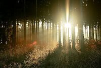 TopRq.com search results: sunlight rays landscape photography