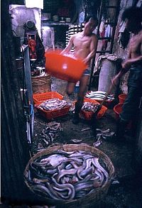 World & Travel: Kowloon Walled City enclave, Kowloon, Hong Kong, China