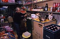 World & Travel: Kowloon Walled City enclave, Kowloon, Hong Kong, China