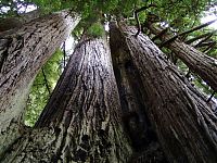 world national park