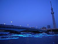 World & Travel: River of light with electronic LED fireflies, Sumida river, Tokyo