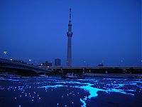 World & Travel: River of light with electronic LED fireflies, Sumida river, Tokyo