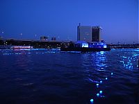 TopRq.com search results: River of light with electronic LED fireflies, Sumida river, Tokyo