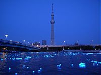 TopRq.com search results: River of light with electronic LED fireflies, Sumida river, Tokyo