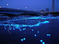 TopRq.com search results: River of light with electronic LED fireflies, Sumida river, Tokyo