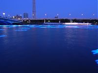 TopRq.com search results: River of light with electronic LED fireflies, Sumida river, Tokyo