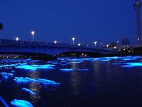 World & Travel: River of light with electronic LED fireflies, Sumida river, Tokyo