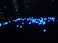 TopRq.com search results: River of light with electronic LED fireflies, Sumida river, Tokyo