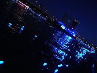 World & Travel: River of light with electronic LED fireflies, Sumida river, Tokyo