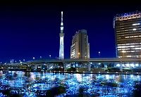 World & Travel: River of light with electronic LED fireflies, Sumida river, Tokyo