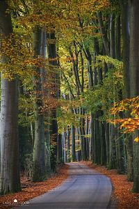 World & Travel: Nature landscapes by Lars Van De Goor