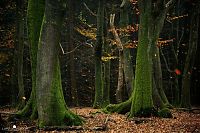 World & Travel: Nature landscapes by Lars Van De Goor