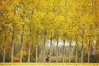 World & Travel: Nature landscapes by Lars Van De Goor