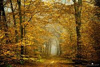 World & Travel: Nature landscapes by Lars Van De Goor