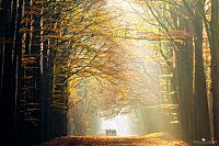 World & Travel: Nature landscapes by Lars Van De Goor