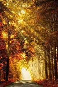 World & Travel: Nature landscapes by Lars Van De Goor