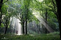 World & Travel: Nature landscapes by Lars Van De Goor