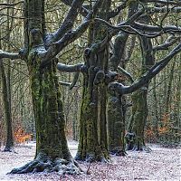 Nature landscapes by Lars Van De Goor