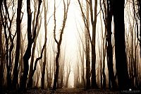 Nature landscapes by Lars Van De Goor